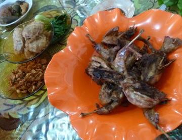 30+ Burung ayam ayaman goreng terbaru