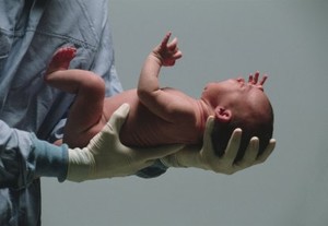 Dunia Menanti Lahirnya Bayi Ke-7 Miliar di Bulan Oktober