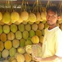 Lotte Mart Janji Jual Durian dan Mangga Indonesia di Korea