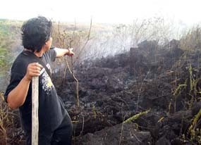 Lahan Seluas 100 Hektar di Gunung Lemongan Terbakar