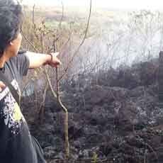 Lahan Seluas 100 Hektar di Gunung Lemongan Terbakar
