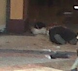 Pelaku Peledakan Diduga Tewas Mengenaskan