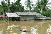 Banjir Tewaskan 158 Orang di Thailand & 61 Orang di Kamboja