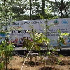 Tahukah Anda Fakta Tentang Babakan Siliwangi?