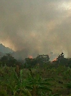 Gunung Ciremai Dilalap Kebakaran Hutan