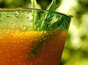 Jus Buah Picu Kanker Usus?