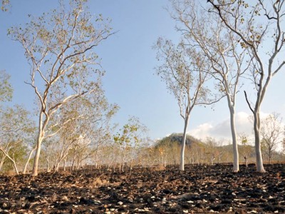 Kekeringan di Nusa Tenggara Timur