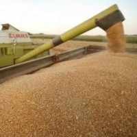 RI dan Slovakia Kerjasama Produksi Gandum