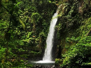 Kejernihan Curug Sawer, Bukan Untuk Dicemari