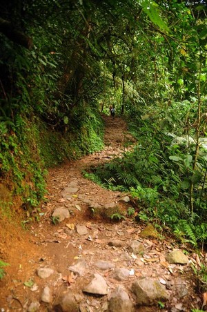 Sisi Romantis Di Balik Sejuknya Situ Gunung