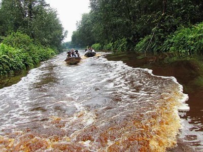 Berkunjung ke Cagar Biosfir di Riau
