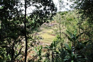Kerta Angsana, Desanya Goa