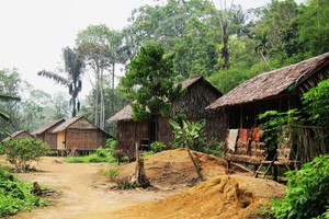 Potret Indonesia di Rahim Suku Talang Mamak
