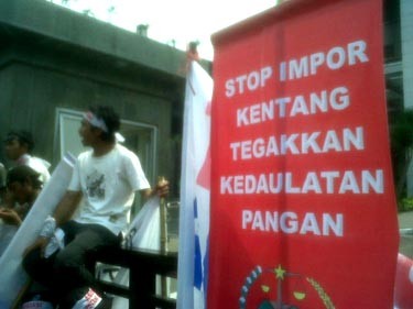 Petani: Impor Kentang Tak Distop, Kita Minta Presiden Impor Saja!