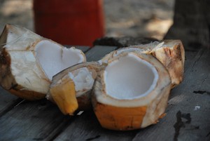 Melancong ke Sekeliling Teluk Tamiang