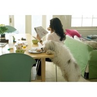 Makanan Manusia Yang Berbahaya Diberikan Ke Hewan Peliharaan