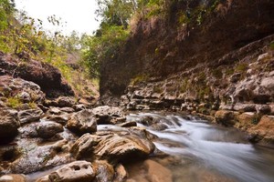 Siapa Bilang Gunung Kidul Miskin dan Gersang?