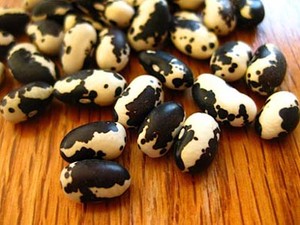 Kacang Sapi yang Kaya Protein