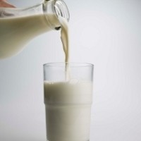 Konsumsi Susu di Indonesia Masih Rendah