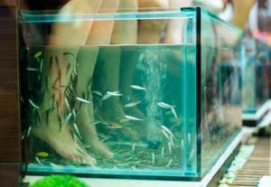 Awas! Spa Ikan Bisa Tularkan HIV dan Hepatitis C