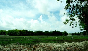 Danau Tua Sumber kehidupan Masyarakat Lalukoen, Rote Ndao-NT