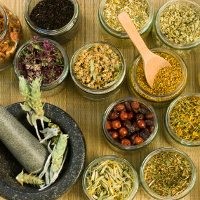Sebab Punahnya Tanaman Obat Tradisional