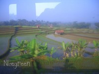 Pemandangan dari balik jendela KA Pemandangan dari balik jendela KA