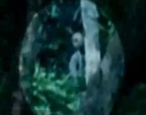 Alien Tertangkap Kamera Video di Hutan Amazon