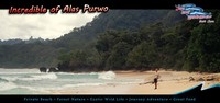alas purwo beach alas purwo beach