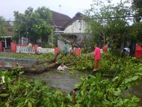Belasan Rumah di Mojokerto Rusak Diterjang Puting Beliung