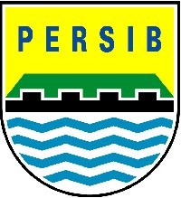 Inter Island Cup, Ajang Persib untuk Persiapan Kompetisi