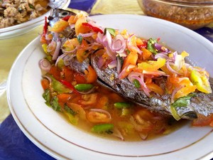 Ikan Dabu-dabu Manta