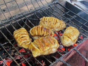 Warung Nasi Campur Kucing di Pasar Gajah