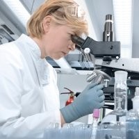 Bakteri Vampir Berpotensi Jadi Antibiotik Super