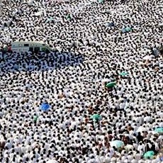 Hawa Terik dan Deru Heli Iringi Khutbah Wukuf