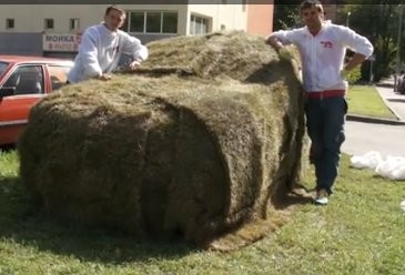 Parkir Sembarangan, Mobil Ditutupi Rumput!