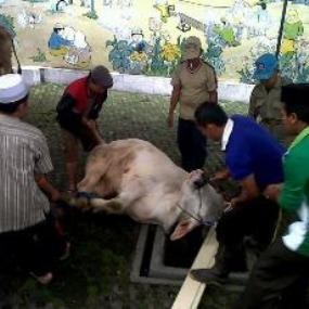 Ariel dan Luna Maya Sumbang 2 Ekor Sapi di Rutan Kebon Waru