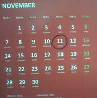 Ini Dia Momen Istimewa di Tanggal Cantik 11/11/11