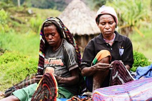 Noken, Tas Serba Guna Khas Papua