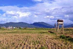 Inikah Indonesia yang Sesungguhnya?