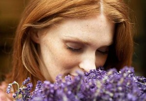Lavender Efektif Ringankan Nyeri