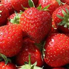 Makan Strawberry Agar Awet Muda