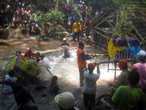 Menengok Tradisi Mantu Kucing di Banyuwangi