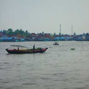 Selama SEA Games XXVI, Sungai Musi Harus Bersih dari Eceng Gondok