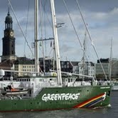 Penyegelan Kantor Greenpeace, P2B Pemrov DKI Serahkan ke Jaksel