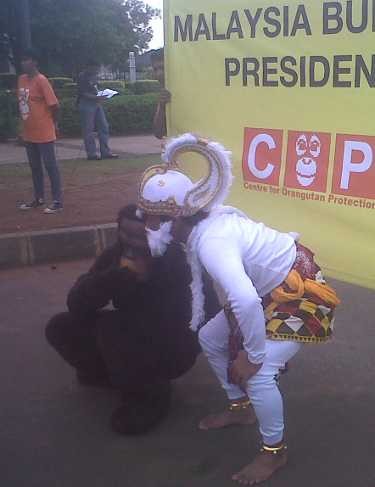 Orang Utan Minta SBY Hukum Pelaku Pembantaian di Kalimantan