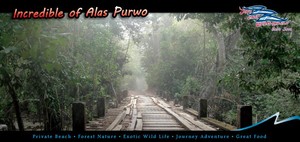 liburan ke alas purwo gratis ...........!
