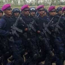 Batalyon Marinir di Papua Akan Ditingkatkan Menjadi Satu Brigade