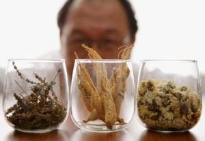 Dokter Indonesia Harus Punya Pengetahuan Jamu