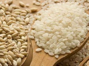 Beras Impor Asal AS Masuk RI Sebagai Beras Khusus